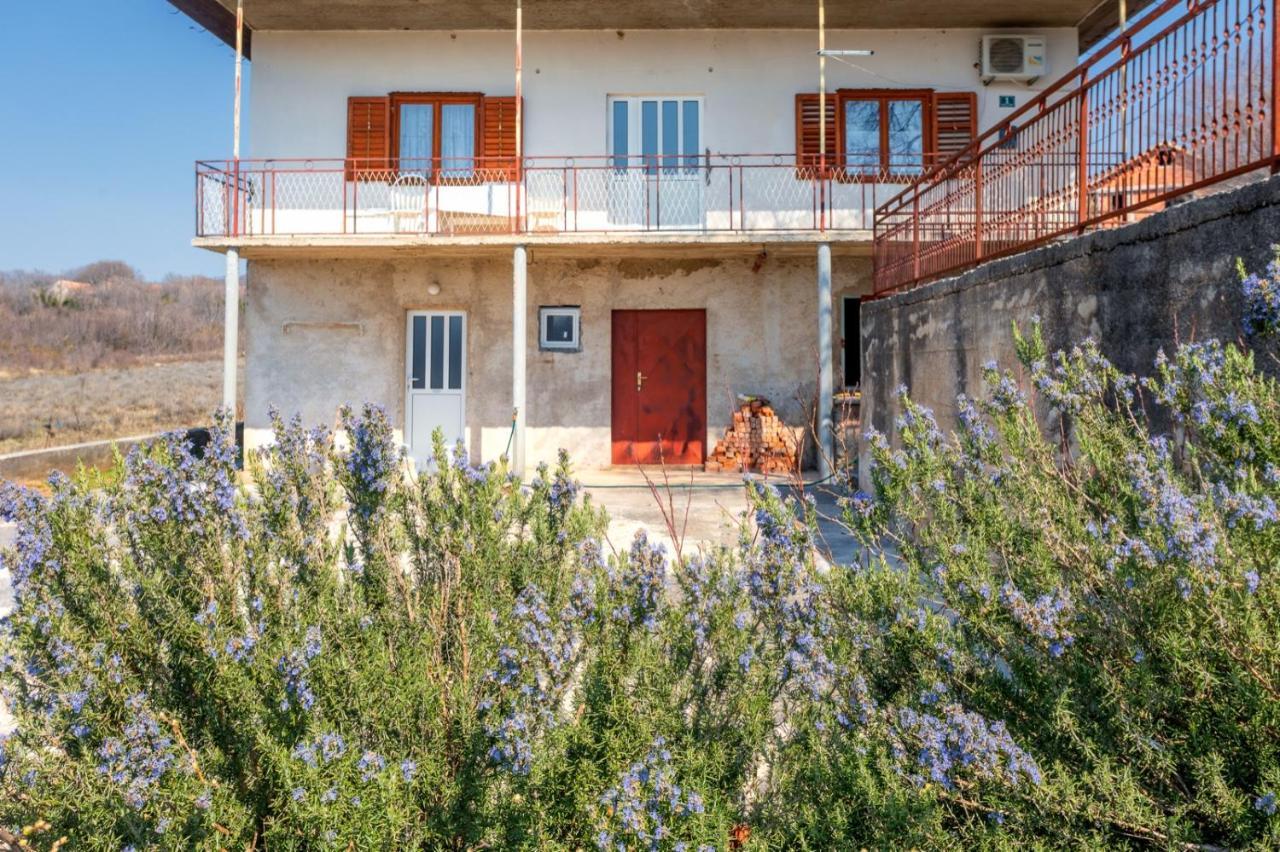 Golden Flowers Razvode Exterior photo